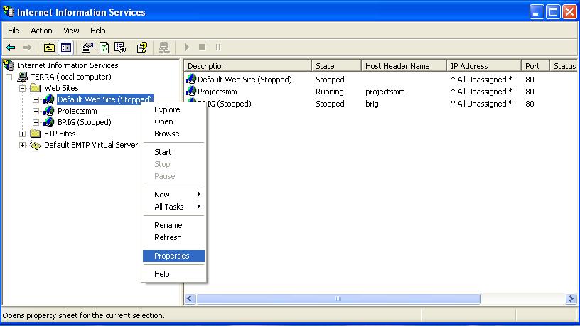 IIS Web Site Properties